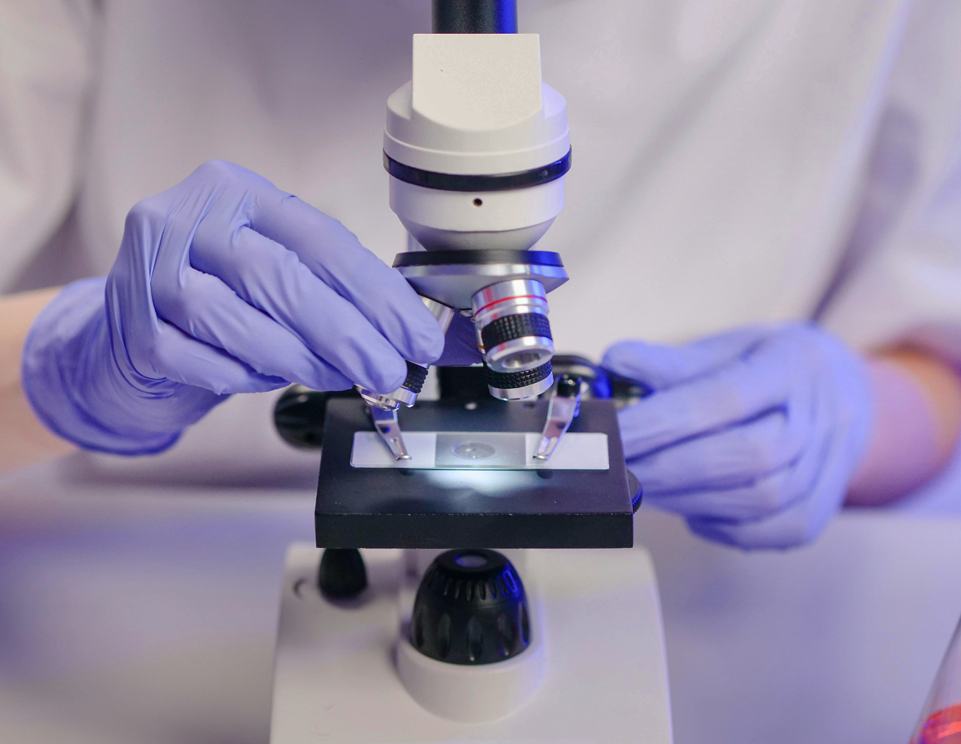 专业成熟的研发团队